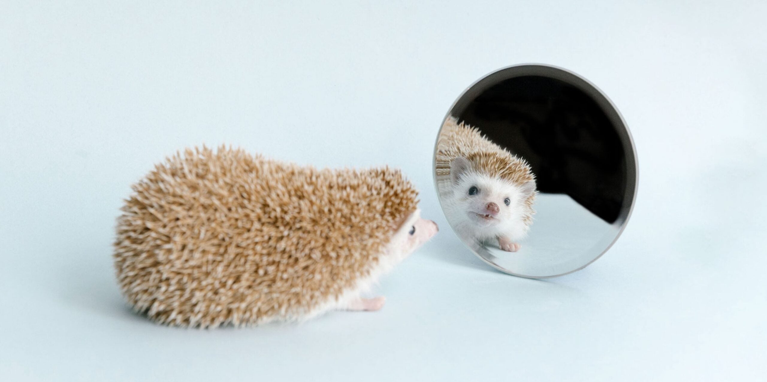 Mirror-gazing isn’t vain—and does wonders for stress and mental health, according to this unusual mindfulness practice