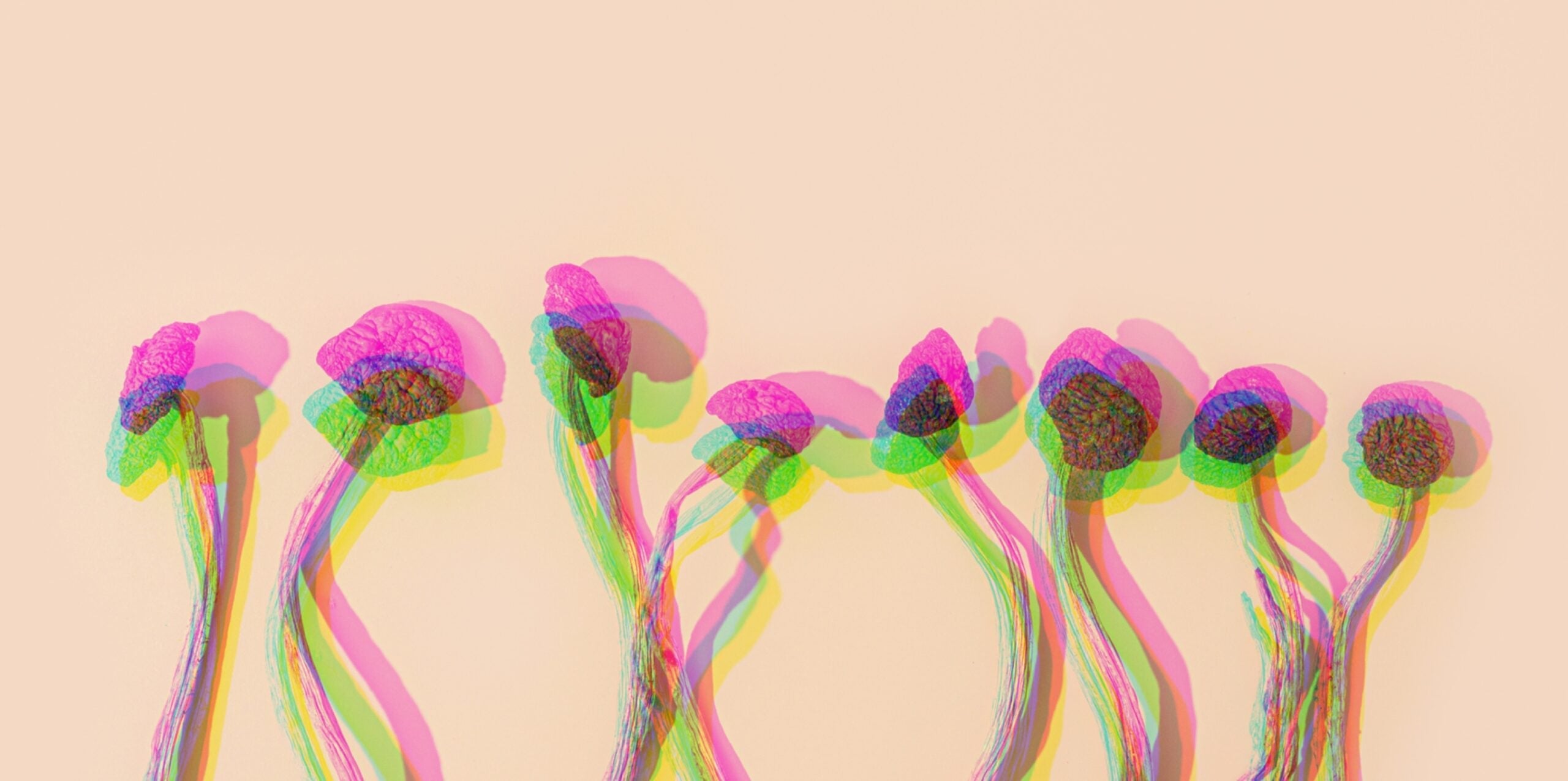 Are psychedelics the future of mental wellness? What you need to know about 2 controversial compounds that have increasingly entered the convo