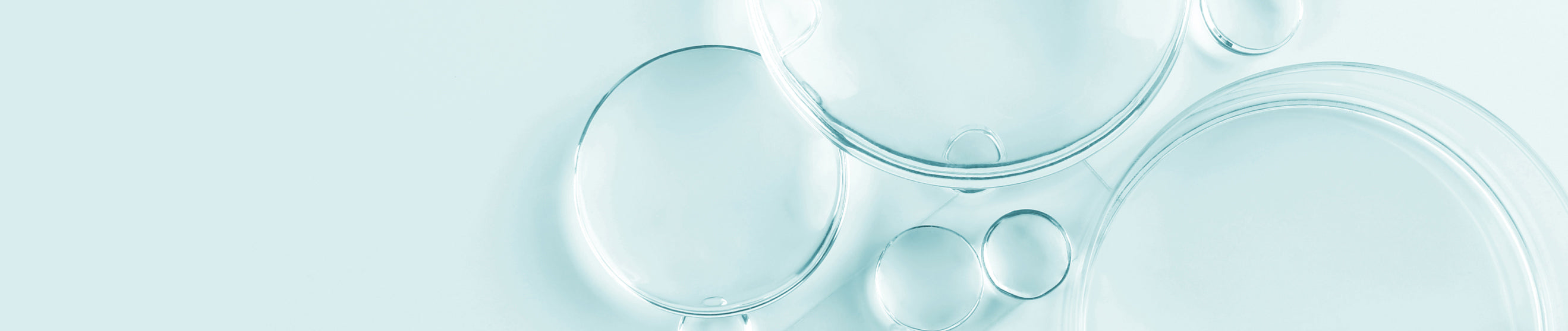 Pore Minimizing Skincare